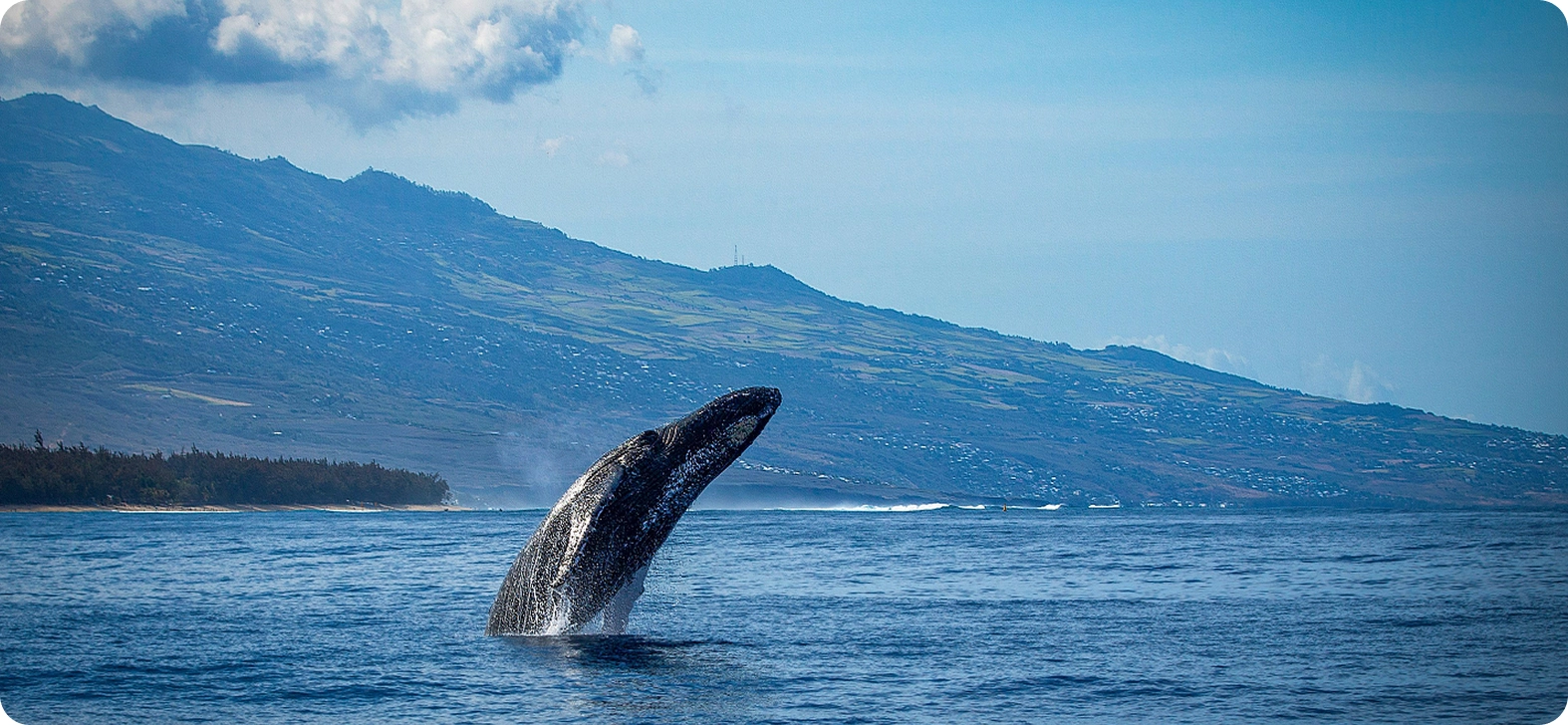 Baie-Sainte-Catherine