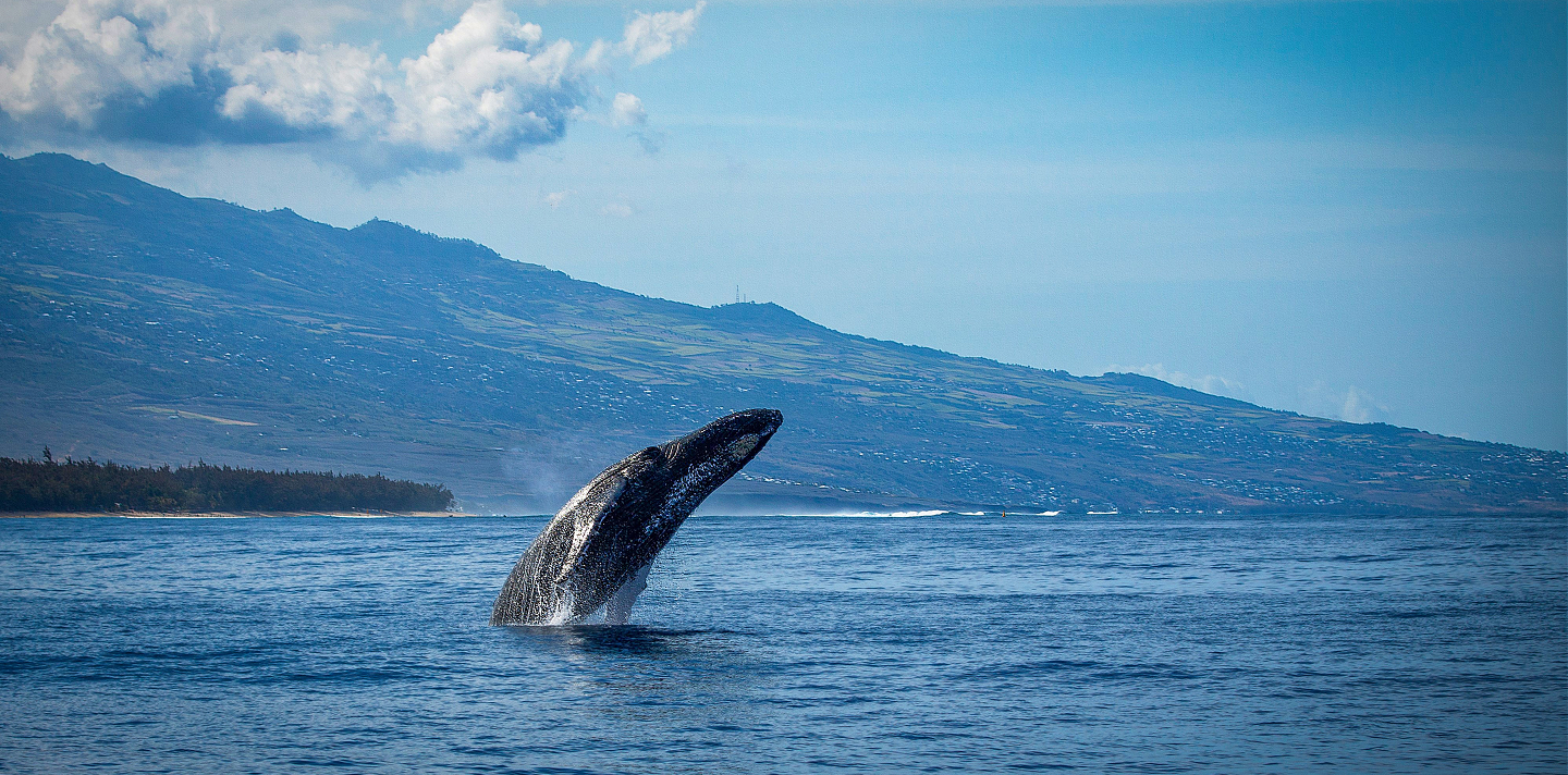 Photo d'un restaurant