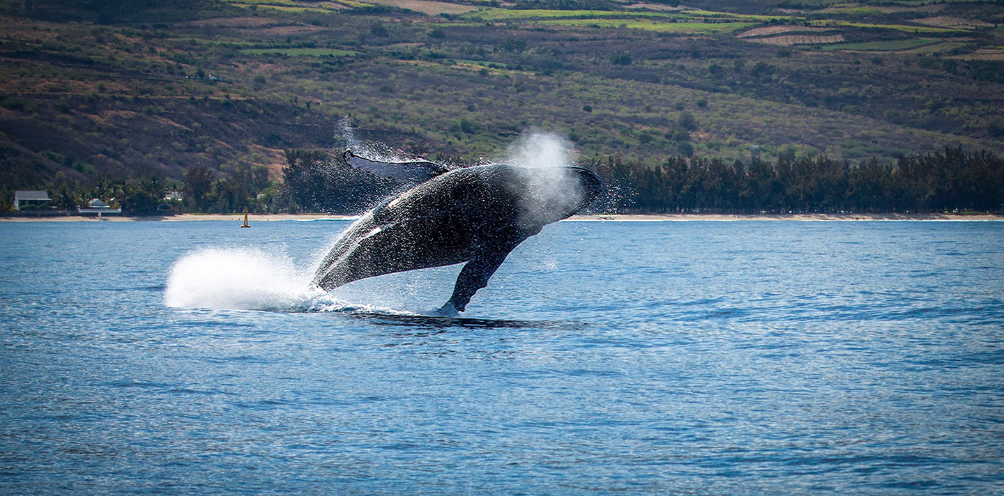 Photo d'un restaurant